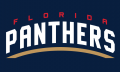 Florida Panthers 2016 17-Pres Wordmark Logo 03 decal sticker