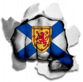 Fist Nova Scotia Flag Logo Sticker Heat Transfer