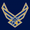Airforce St. Louis Blues Logo Sticker Heat Transfer