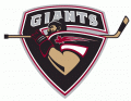 Vancouver Giants 2001 02-Pres Primary Logo decal sticker