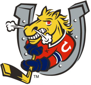 Barrie Colts 1995 96-Pres Primary Logo decal sticker