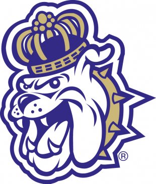 James Madison Dukes 2013-2016 Alternate Logo 02 decal sticker