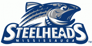 Mississauga Steelheads 2012 13-2014 15 Primary Logo decal sticker