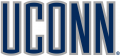 UConn Huskies 1996-2012 Wordmark Logo 04 decal sticker
