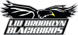 LIU-Brooklyn Blackbirds 2008-2018 Primary Logo decal sticker