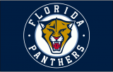 Florida Panthers 2009 10-2011 12 Jersey Logo Sticker Heat Transfer