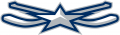 NHL All-Star Game 2014-2015 Alternate 02 Logo decal sticker
