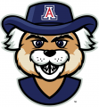 Arizona Wildcats 2013-Pres Mascot Logo decal sticker