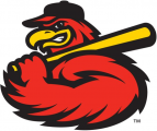 Rochester Red Wings 2014-Pres Alternate Logo 4 decal sticker