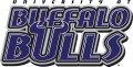 Buffalo Bulls 1997-2006 Wordmark Logo decal sticker