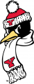 Youngstown State Penguins 1993-Pres Alternate Logo 05 decal sticker