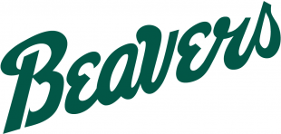 Bemidji State Beavers 2004-Pres Wordmark Logo decal sticker