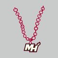 Miami Heat Necklace logo decal sticker
