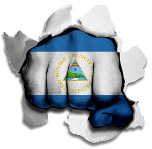 Fist Nicaragua Flag Logo Sticker Heat Transfer