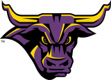 Minnesota State Mavericks 2001-Pres Partial Logo decal sticker