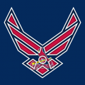 Airforce St. Louis Cardinals Logo decal sticker