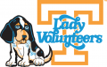 Tennessee Volunteers 2005-Pres Misc Logo 04 decal sticker