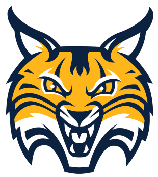 Quinnipiac Bobcats 2019-Pres Alternate Logo 02 decal sticker