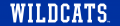 Kentucky Wildcats 2016-Pres Wordmark Logo 04 decal sticker