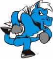 Middle Tennessee Blue Raiders 2000-Pres Mascot Logo decal sticker