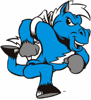 Middle Tennessee Blue Raiders 2000-Pres Mascot Logo Sticker Heat Transfer