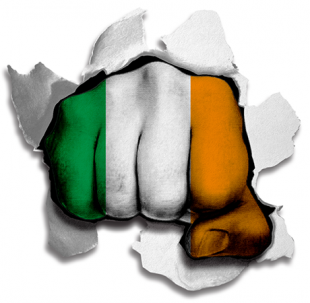 Fist Ireland Flag Logo Sticker Heat Transfer