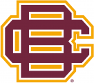 Bethune-Cookman Wildcats 2010-2015 Secondary Logo decal sticker