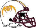 Bethune-Cookman Wildcats 2010-2015 Helmet Logo Sticker Heat Transfer