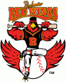Rochester Red Wings 1997-2004 Alternate Logo Sticker Heat Transfer
