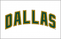 Dallas Stars 2008 09-2012 13 Jersey Logo Sticker Heat Transfer