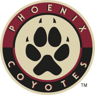 Arizona Coyotes 2008 09-2013 14 Alternate Logo decal sticker