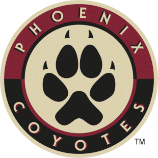 Arizona Coyotes 2008 09-2013 14 Alternate Logo Sticker Heat Transfer