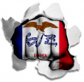 Fist Iowa State Flag Logo decal sticker