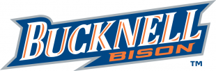 Bucknell Bison 2002-Pres Wordmark Logo 03 Sticker Heat Transfer