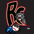Sacramento River Cats 2000-2006 Cap Logo decal sticker