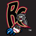 Sacramento River Cats 2000-2006 Cap Logo Sticker Heat Transfer