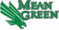 North Texas Mean Green 2005-Pres Alternate Logo 02 decal sticker