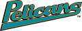 Myrtle Beach Pelicans 1999-2006 Jersey Logo decal sticker