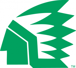 North Dakota Fighting Hawks 1976-1999 Primary Logo Sticker Heat Transfer