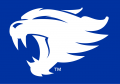 Kentucky Wildcats 2016-Pres Alternate Logo decal sticker