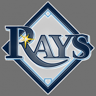 Tampa Bay Rays Plastic Effect Logo decal sticker