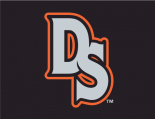 Delmarva Shorebirds 2010-Pres Cap Logo Sticker Heat Transfer