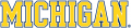 Michigan Wolverines 1996-Pres Wordmark Logo 13 decal sticker