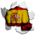 Fist Spain Flag Logo decal sticker