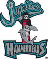 Jupiter Hammerheads 2003-Pres Primary Logo decal sticker