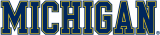 Michigan Wolverines 1996-Pres Wordmark Logo 04 Sticker Heat Transfer