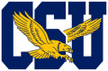 Coppin State Eagles 2017-Pres Primary Logo Sticker Heat Transfer