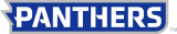 Eastern Illinois Panthers 2015-Pres Wordmark Logo 09 decal sticker