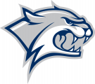 New Hampshire Wildcats 2000-Pres Secondary Logo 01 decal sticker