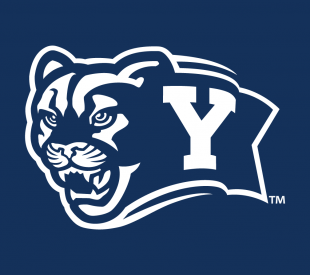 Brigham Young Cougars 2005-Pres Alternate Logo 02 Sticker Heat Transfer